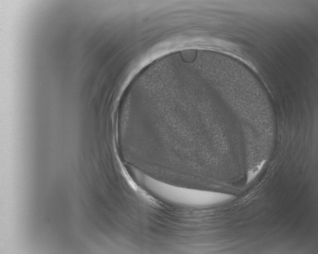 X0000080161515200612302140