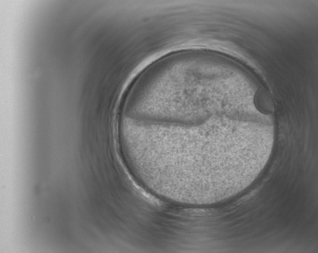 X0000080161517200612302140