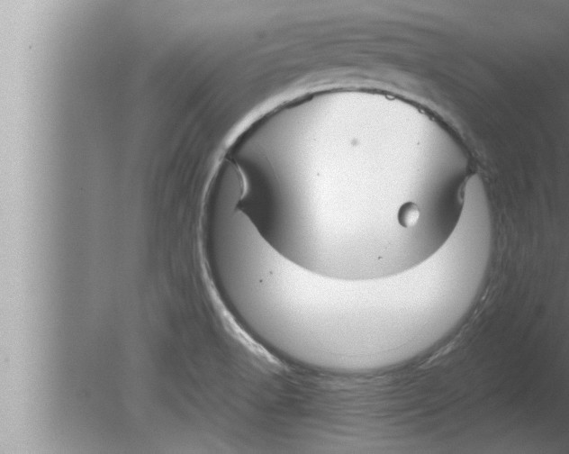 X0000080161518200612302140