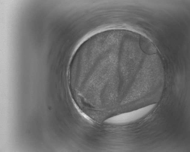 X0000080161519200612302140