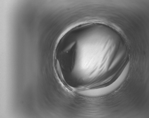 X0000080161520200612302140