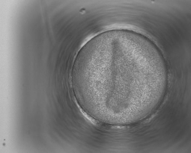 X0000080161521200612302140