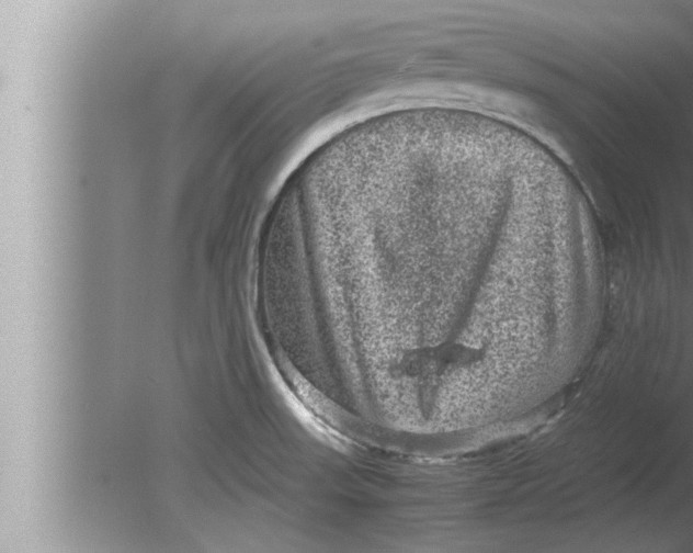 X0000080161523200612302140