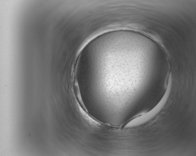 X0000080161524200612302140