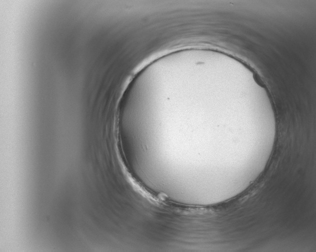 X0000080161526200612302140