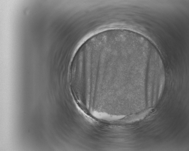 X0000080161527200612302140