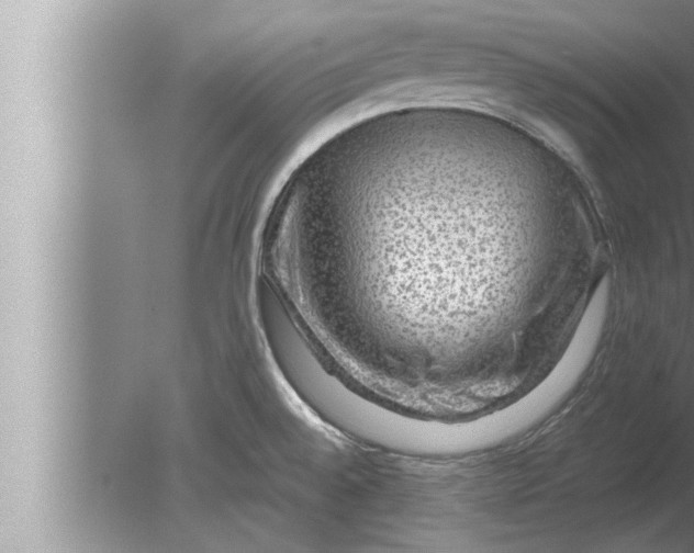 X0000080161528200612302140