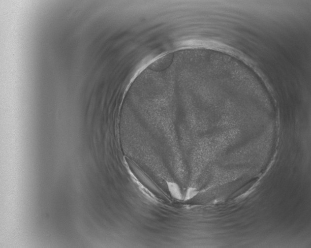 X0000080161529200612302140