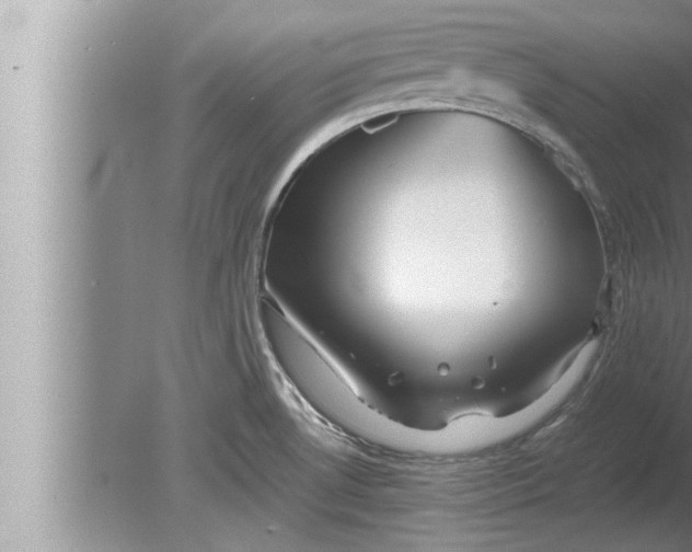 X0000080161530200612302140