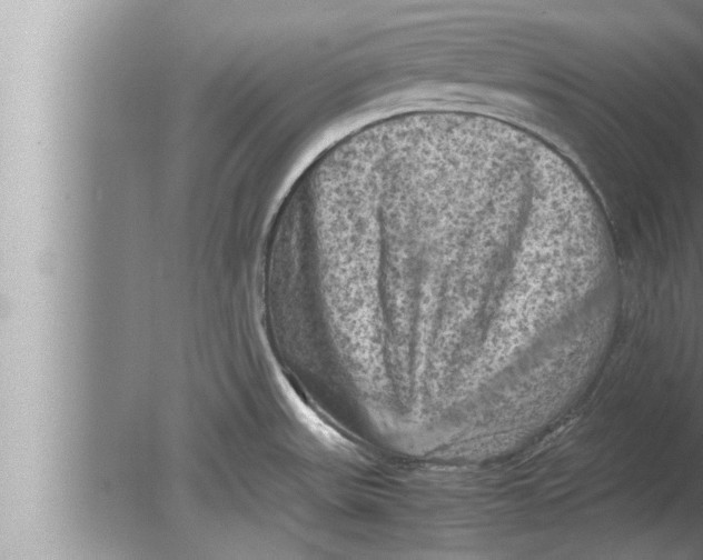 X0000080161531200612302140