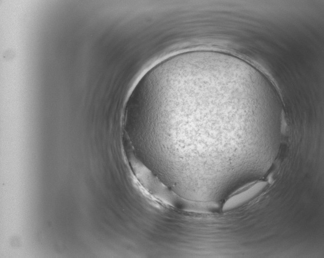 X0000080161532200612302140