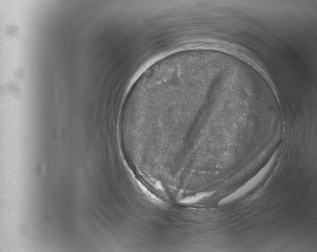 X0000080161533200612302140