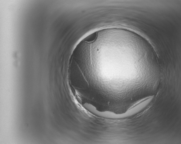 X0000080161534200612302140