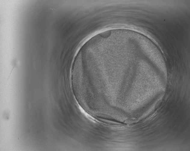 X0000080161535200612302140