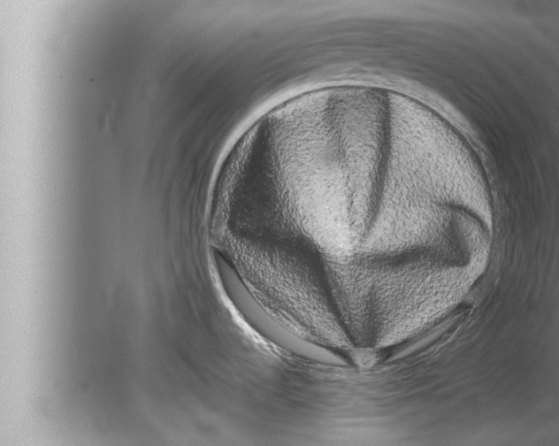 X0000080161536200612302140