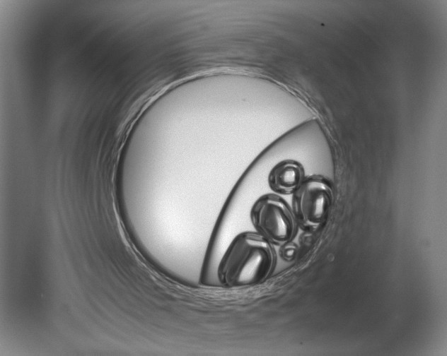 X0000080160001200701051617