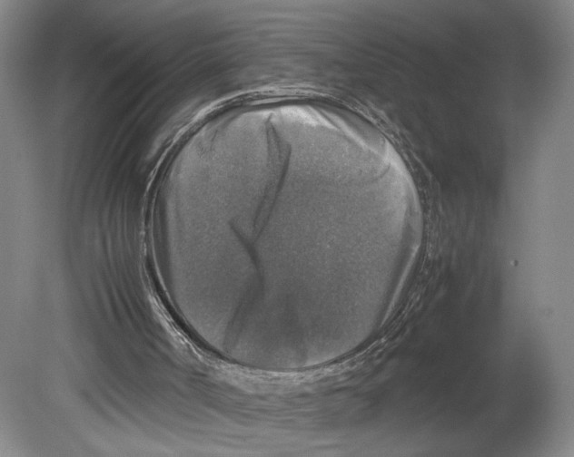 X0000080160002200701051617