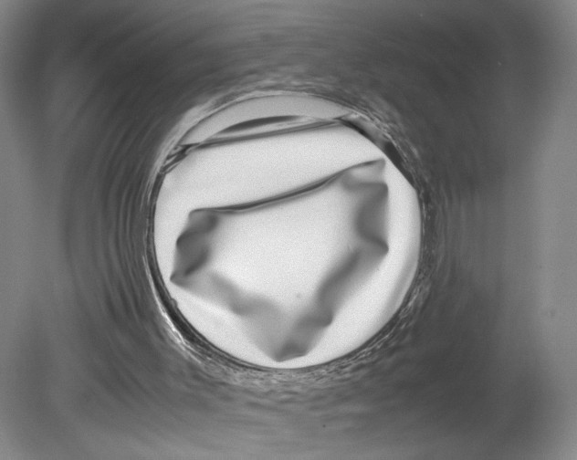 X0000080160003200701051617