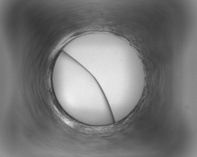 X0000080160005200701051617