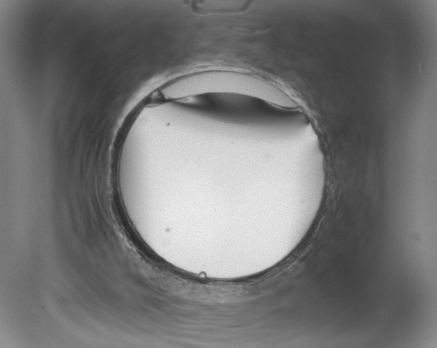 X0000080160008200701051617