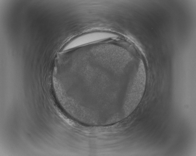 X0000080160009200701051617