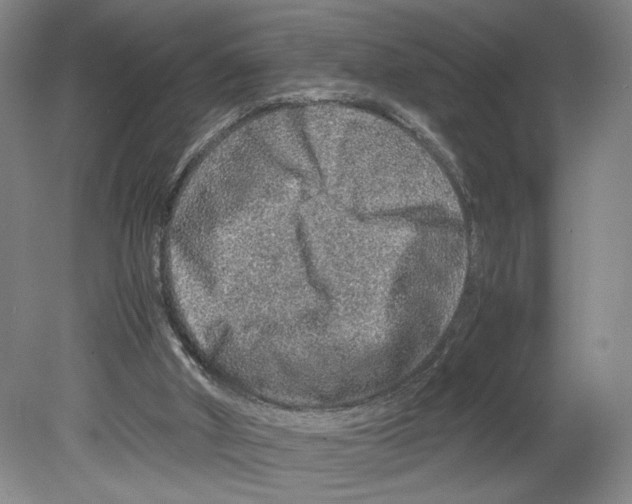 X0000080160010200701051617