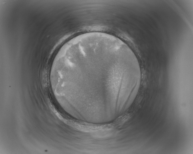 X0000080160012200701051617