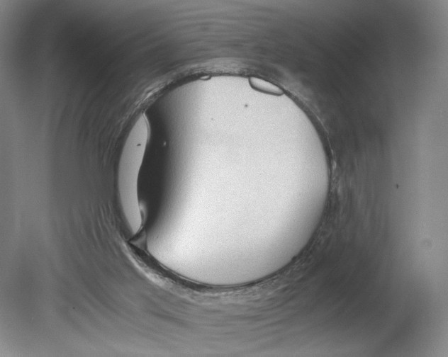 X0000080160013200701051617