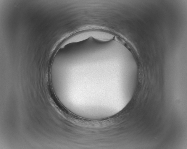 X0000080160015200701051617