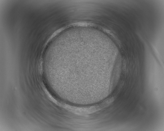 X0000080160016200701051617