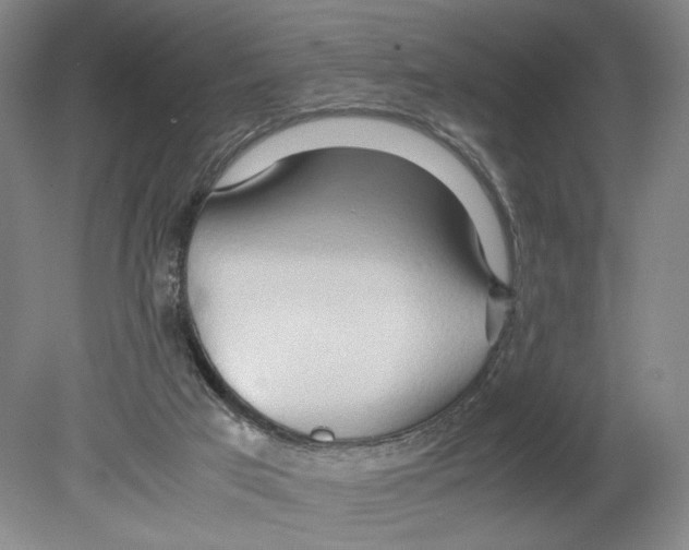 X0000080160017200701051617