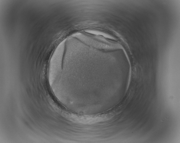 X0000080160018200701051617