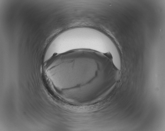 X0000080160019200701051617