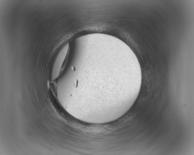 X0000080160020200701051617