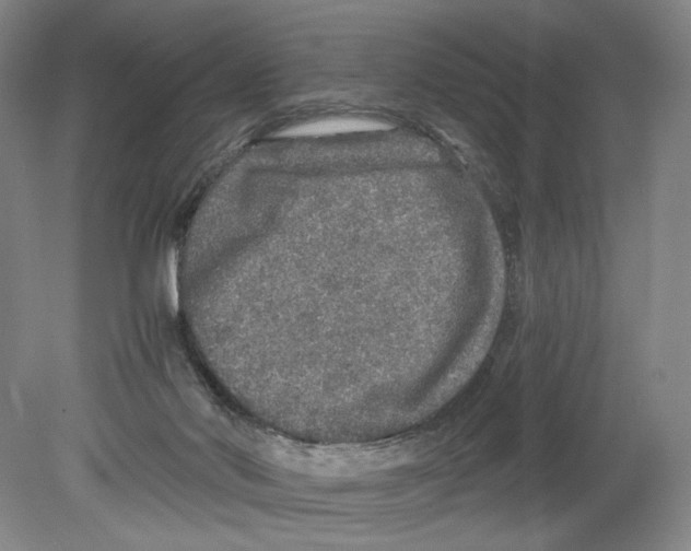 X0000080160022200701051617