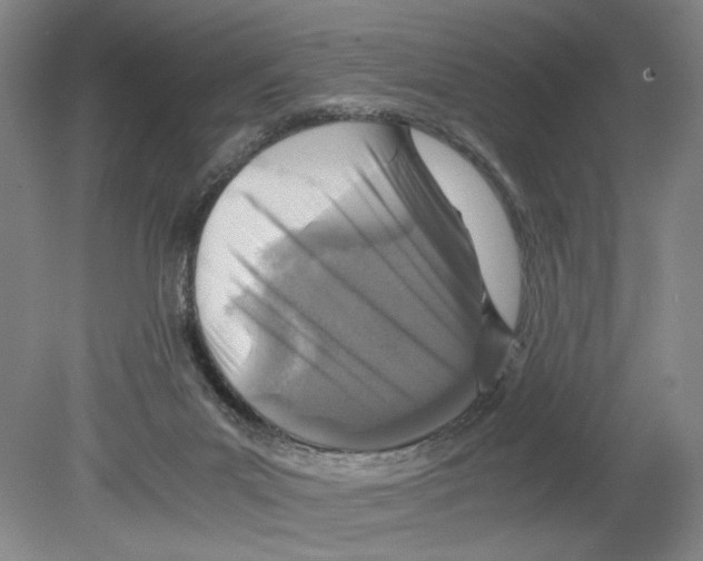 X0000080160023200701051617