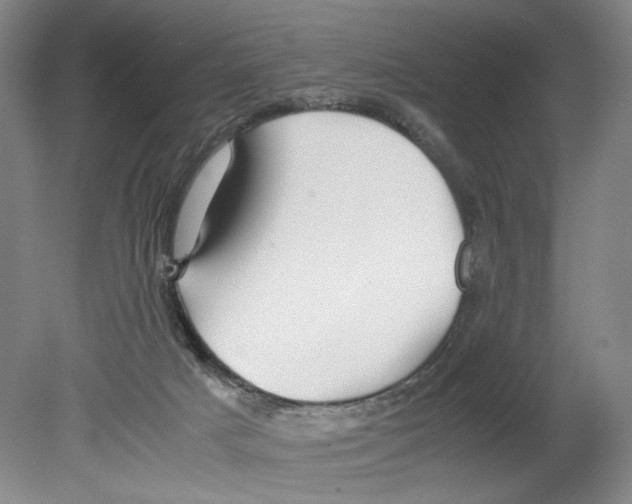 X0000080160025200701051617