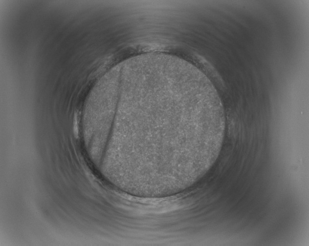 X0000080160026200701051617