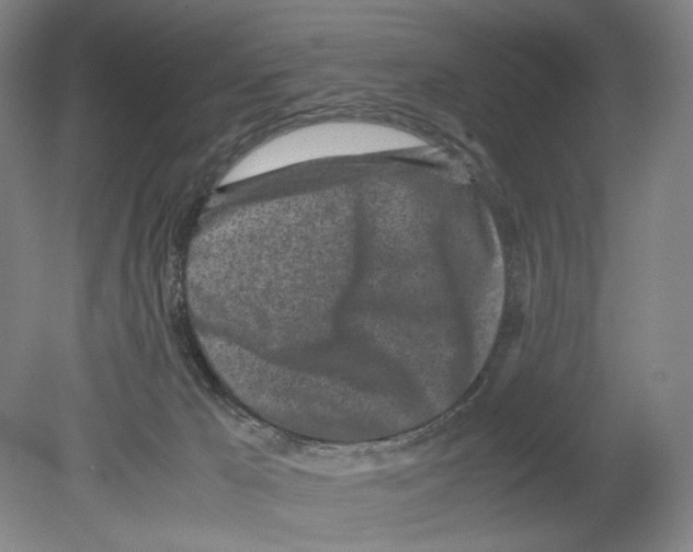 X0000080160029200701051617