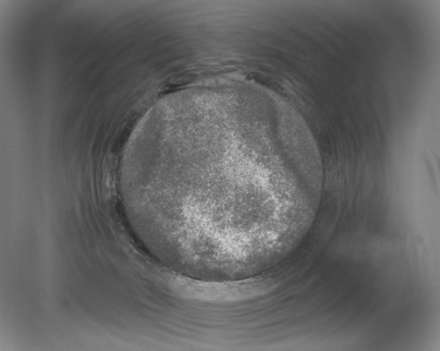 X0000080160030200701051617