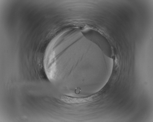 X0000080160031200701051617