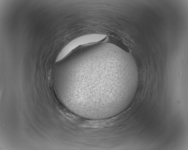 X0000080160033200701051617