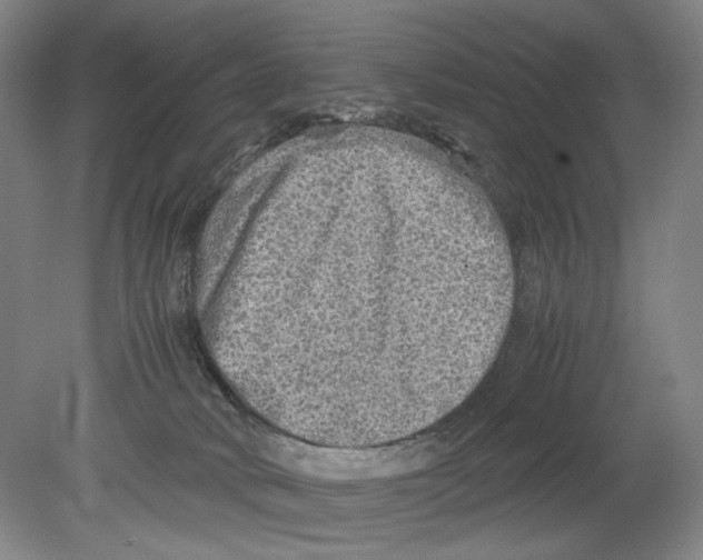 X0000080160034200701051617