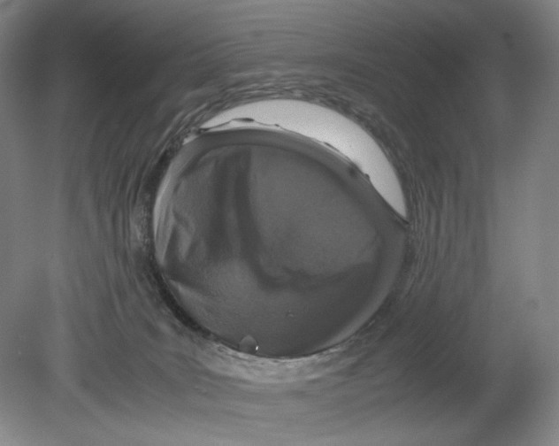 X0000080160035200701051617