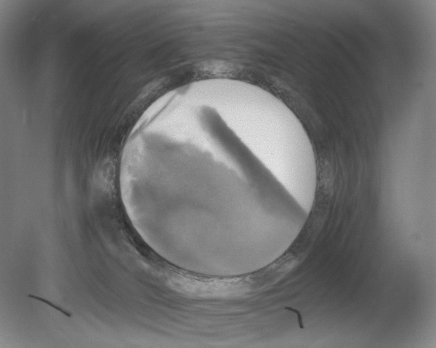 X0000080160036200701051617