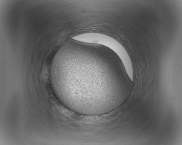 X0000080160037200701051617