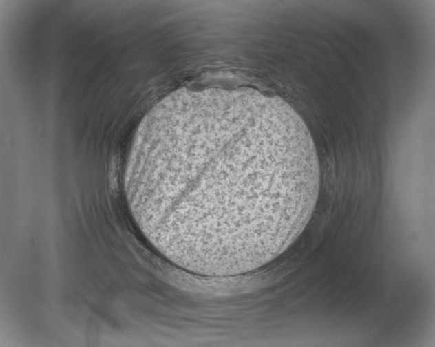 X0000080160038200701051617