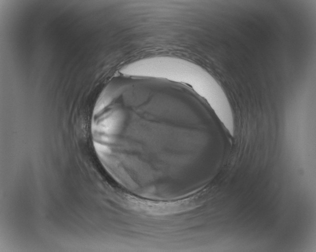 X0000080160039200701051617