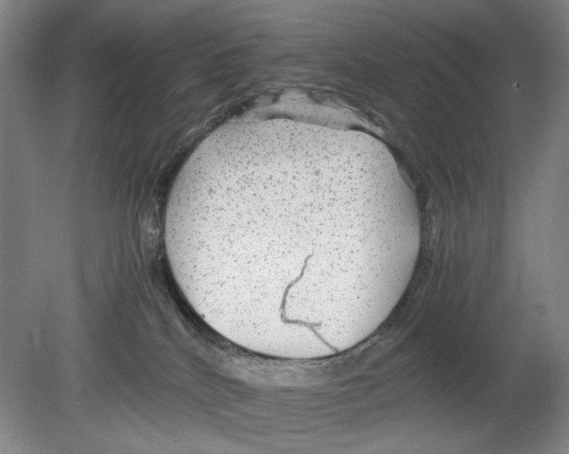 X0000080160040200701051617