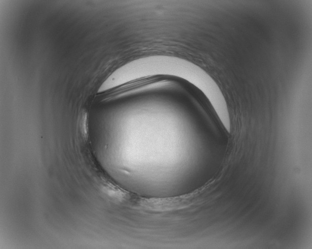 X0000080160041200701051617